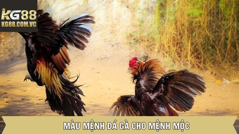 Màu Đá Gà - Cùng KG88 Tìm Hiểu Màu Mệnh Chuẩn 4 Tìm hiểu màu đá gà cho mệnh Mộc