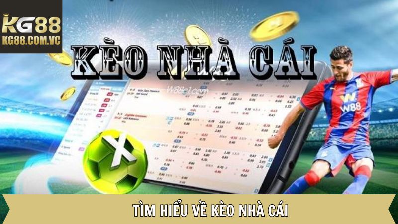 Kèo Nhà Cái - Tổng Hợp Các Loại Cược Phổ Biến Nhất Tại KG88 2 Đôi điều thú vị về tỷ lệ kèo